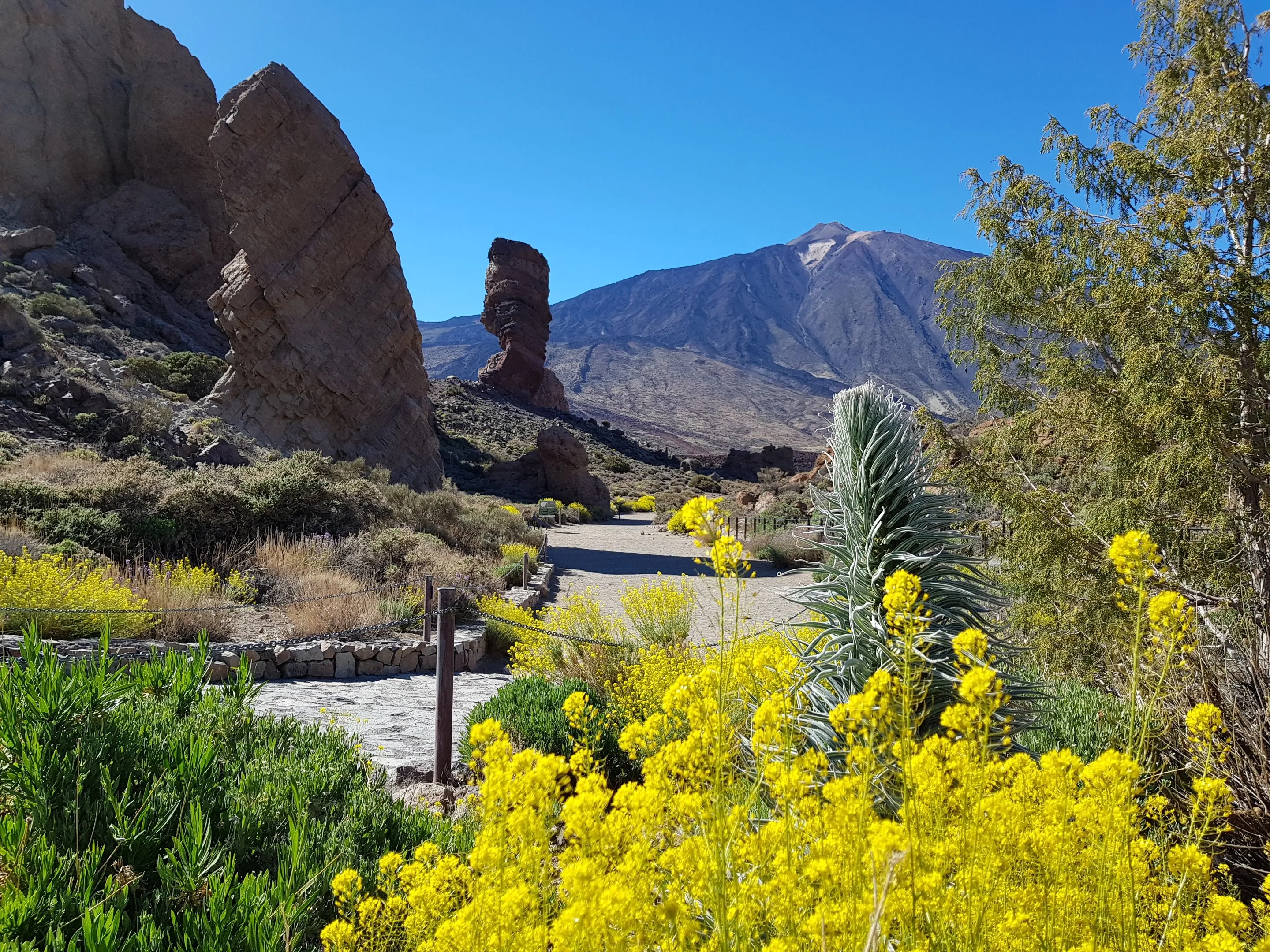 Vuelta Isla con Teide en Rumano